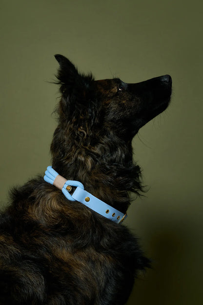 Collier Bleu Polaire