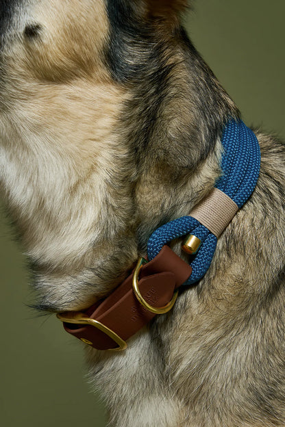 Collier Denim