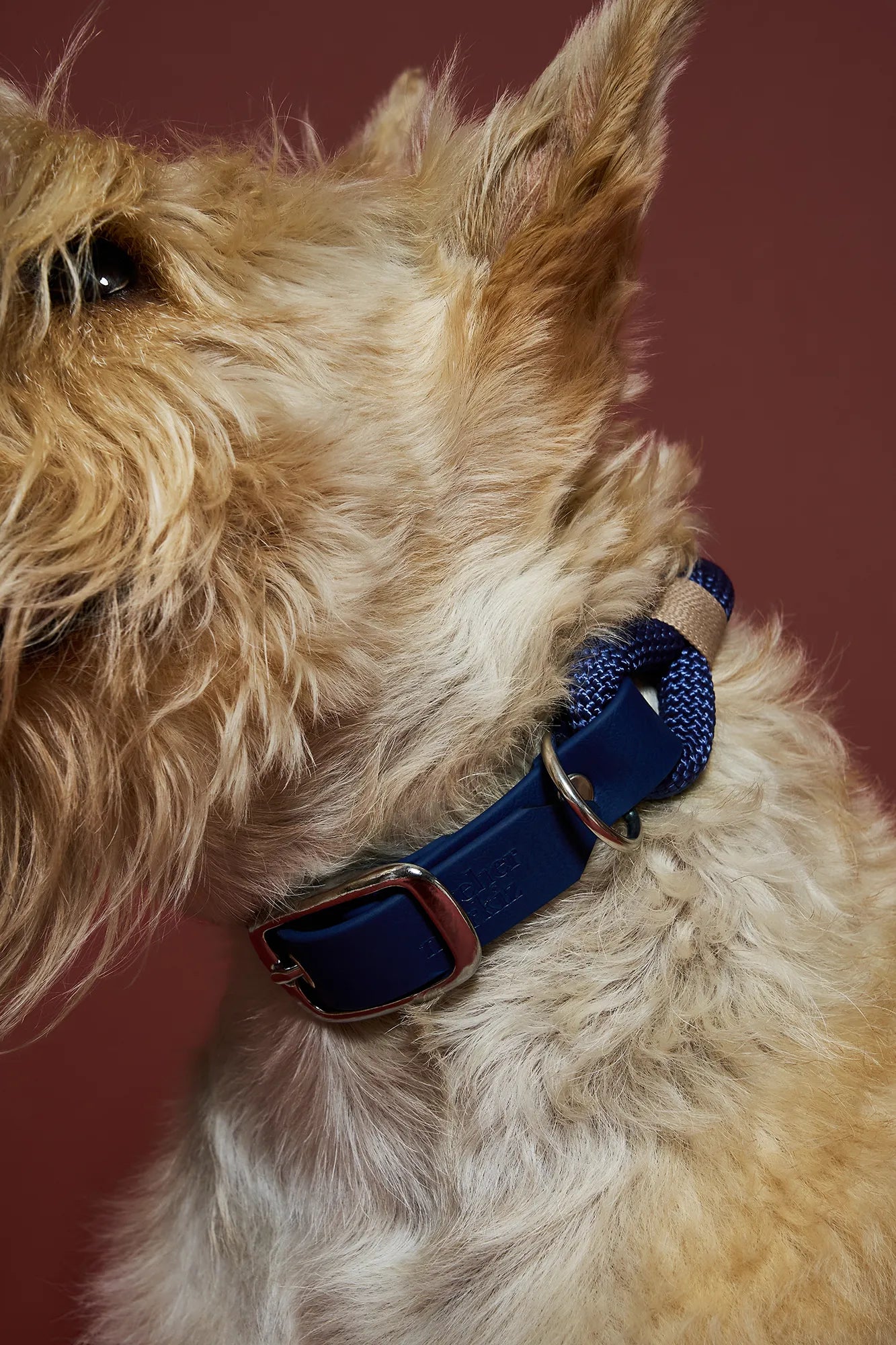 Collier Navy