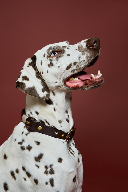 Collier Chocolat