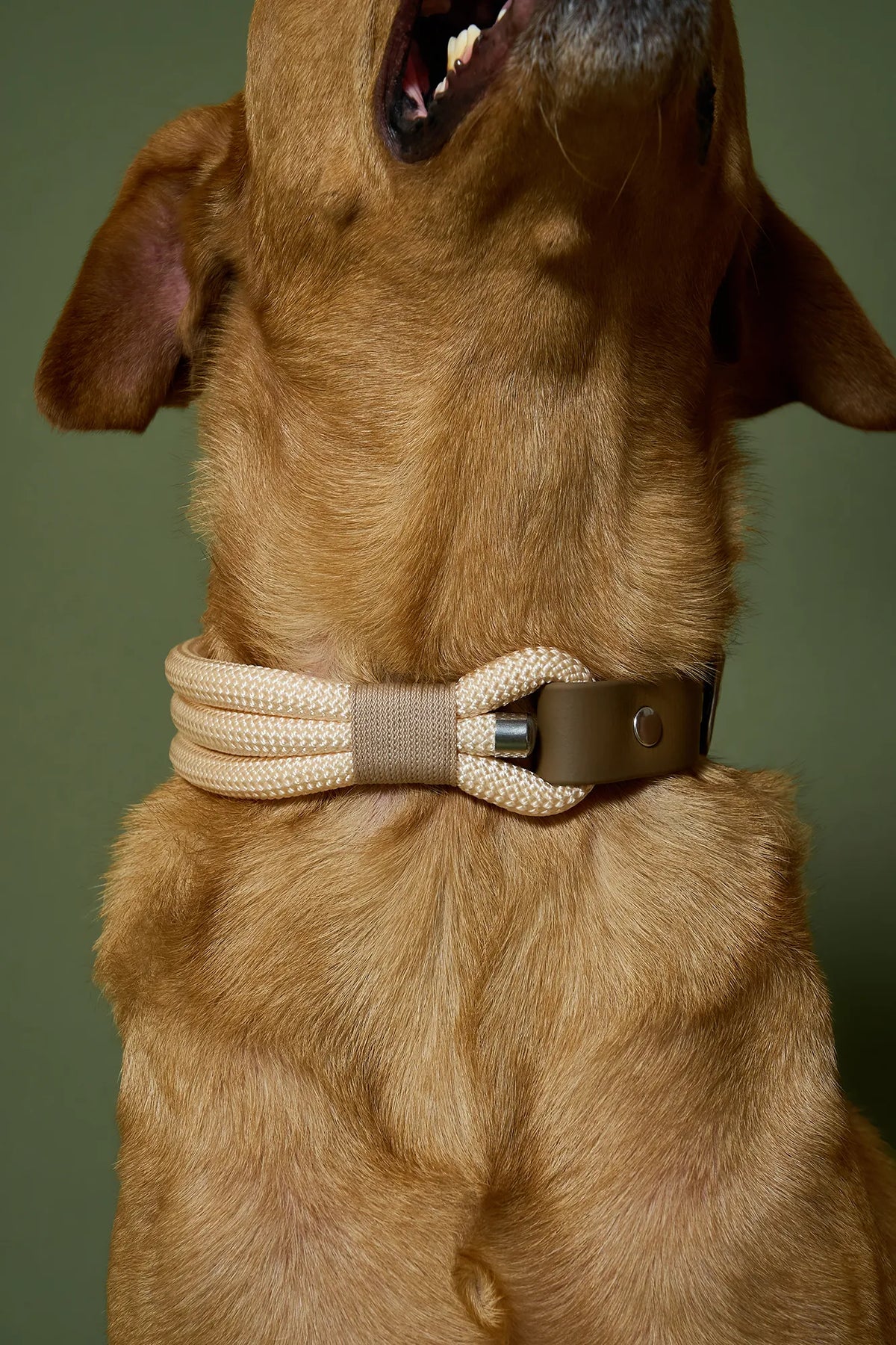Collier Cream