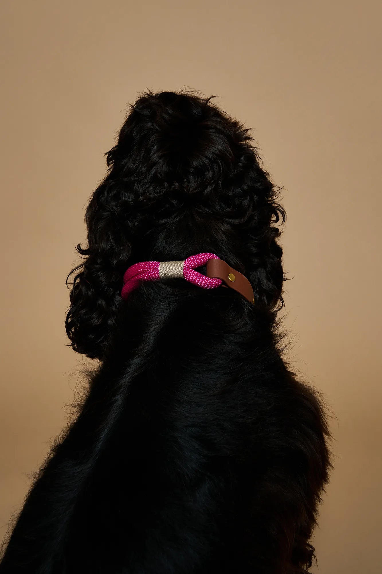Collier Fuchsia