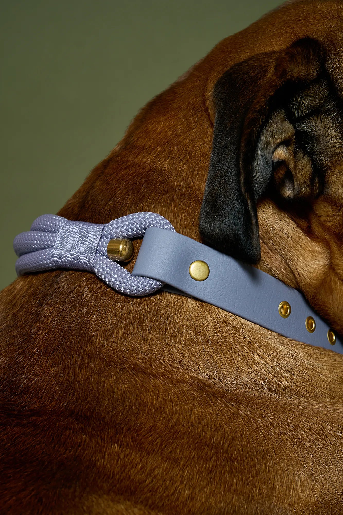 Collier Grey