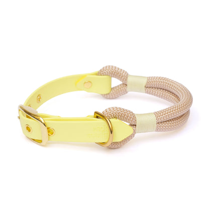 Collier Oslo