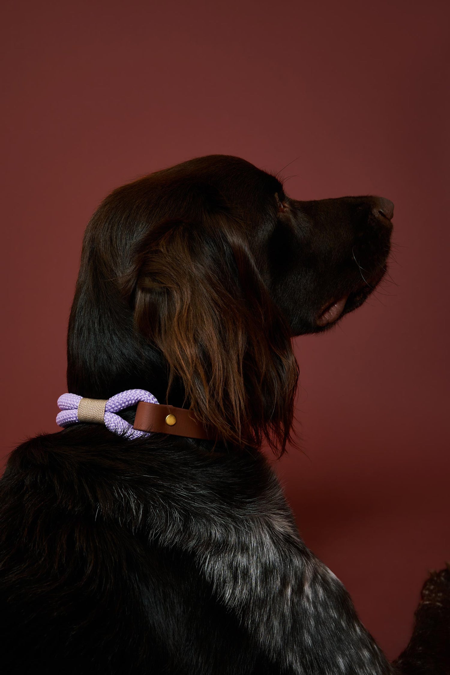 Collier Lilas