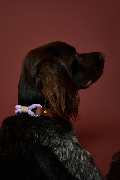 Collier Lilas