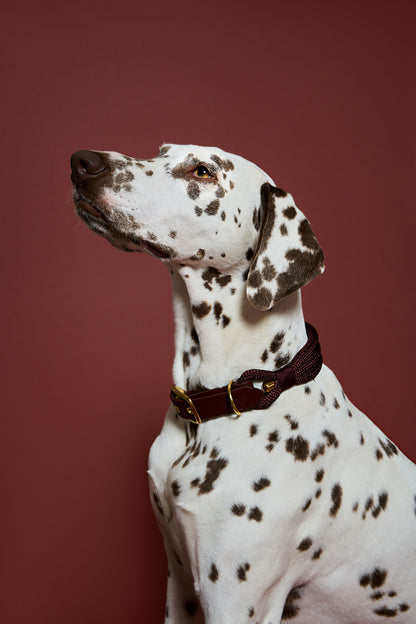 Collier Saddle