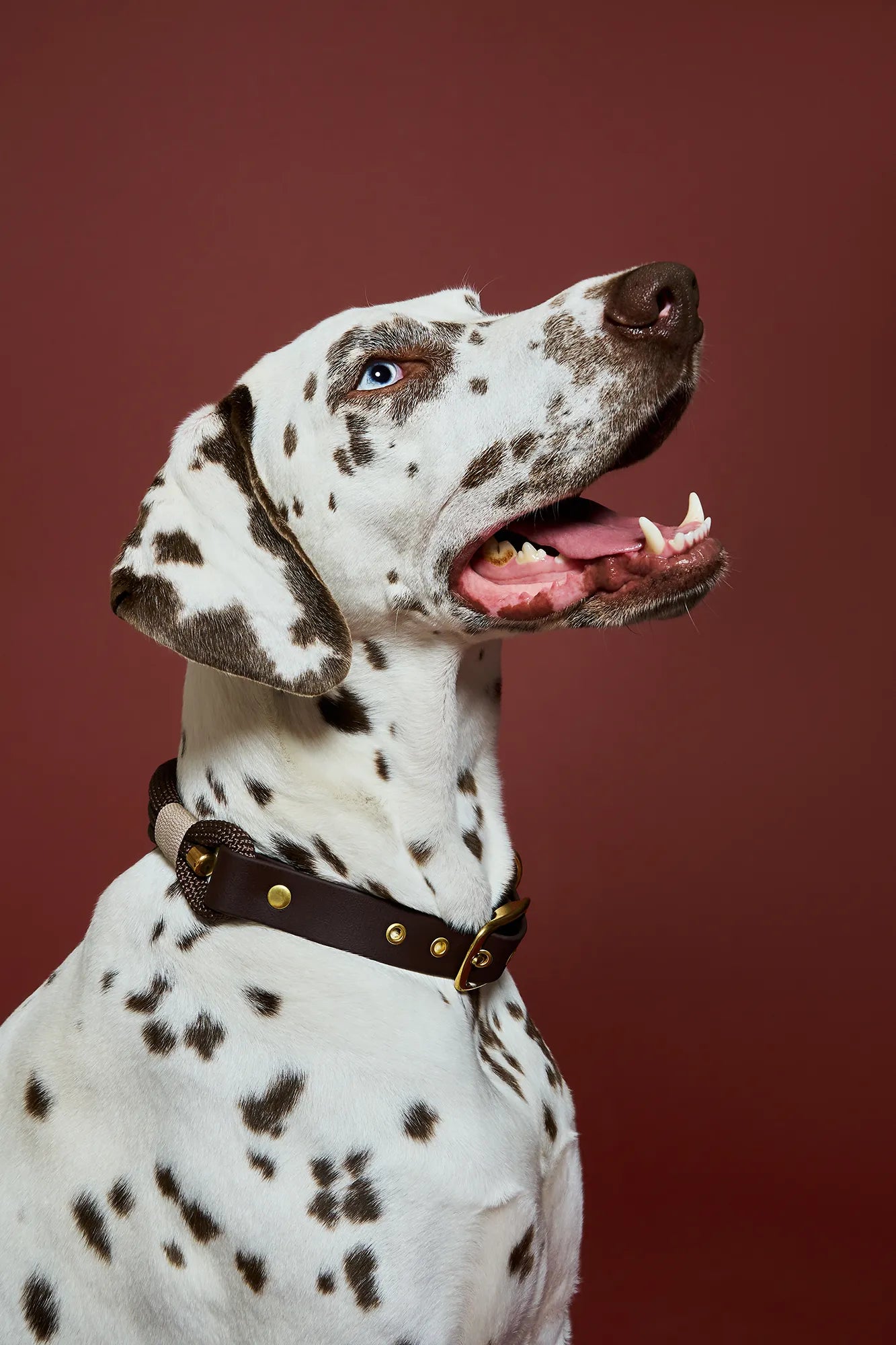 Collier Chocolat
