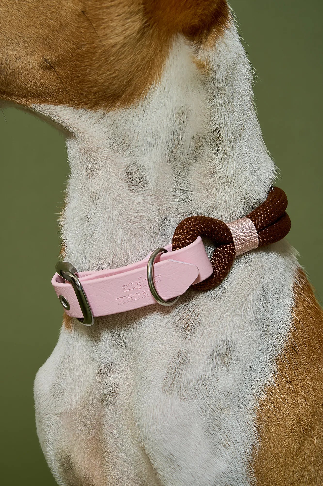 Collier Havane
