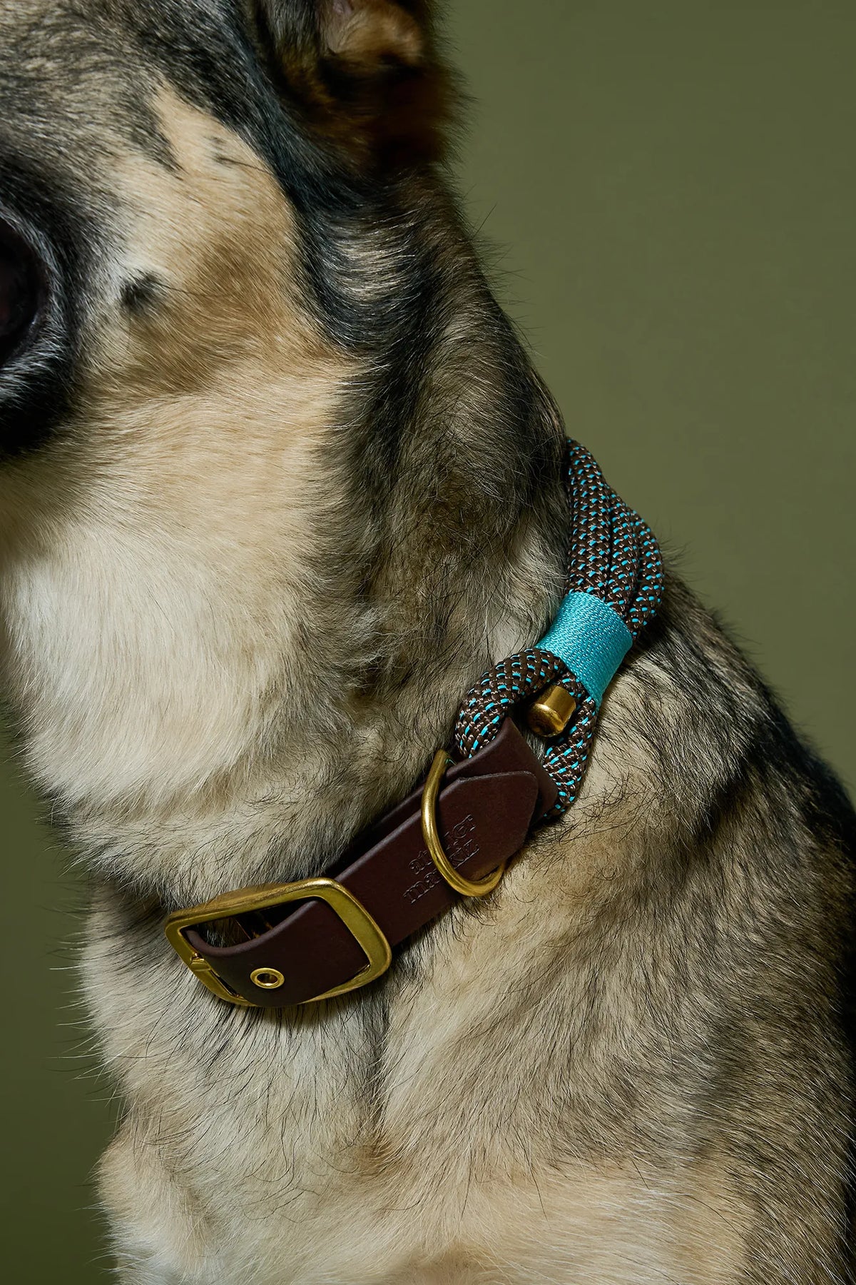 Collier Atlas