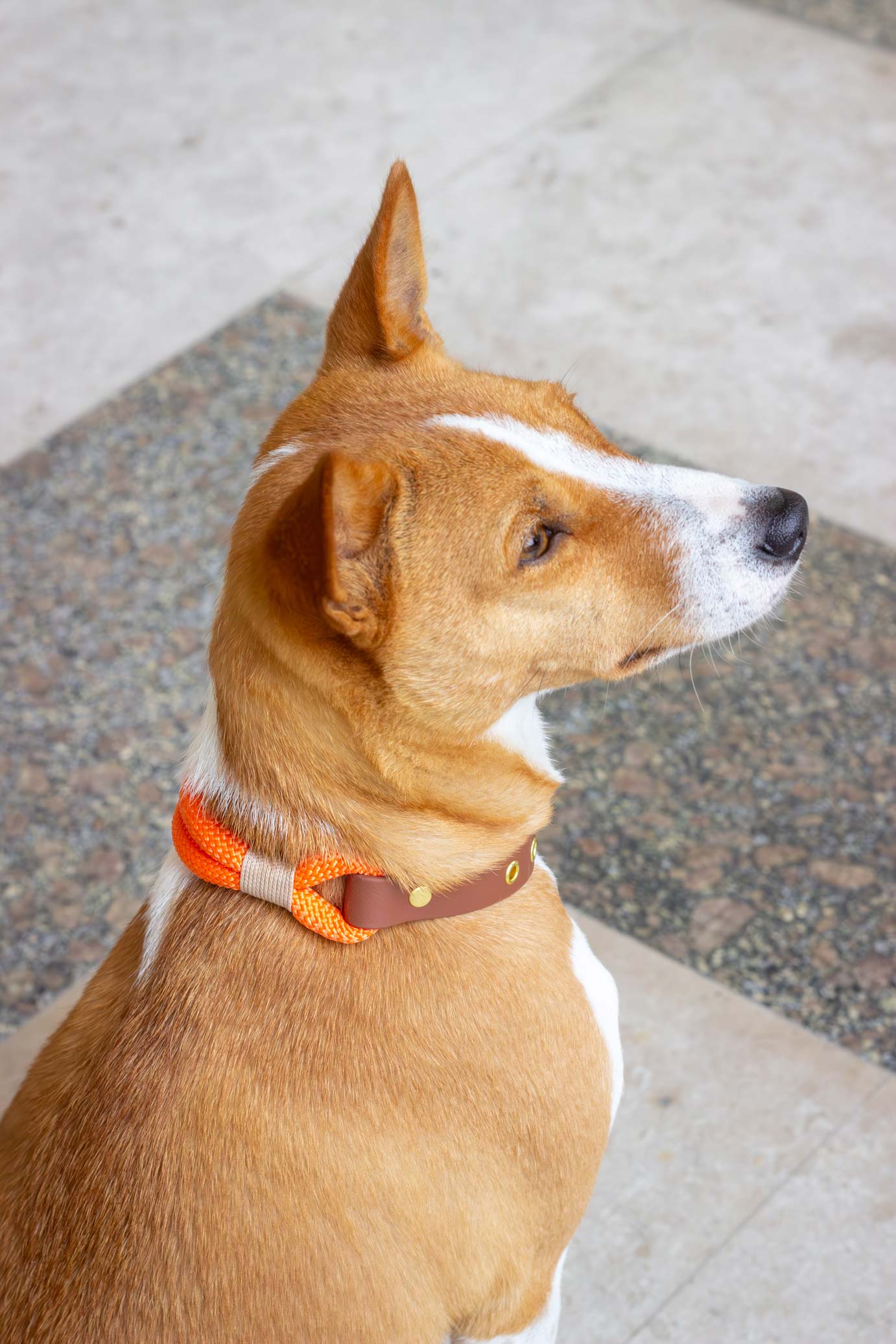 Collier orange