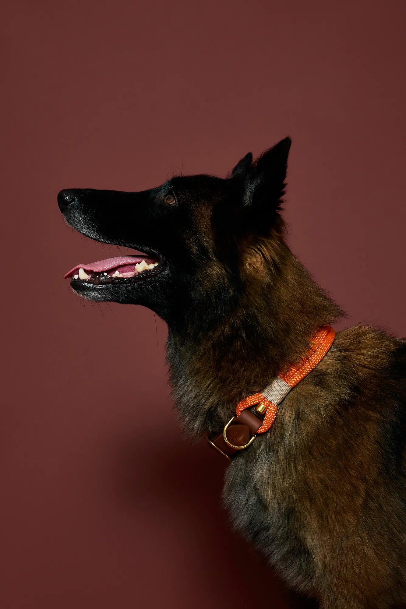 Collier Orange