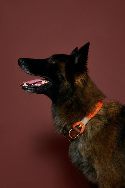Collier Orange