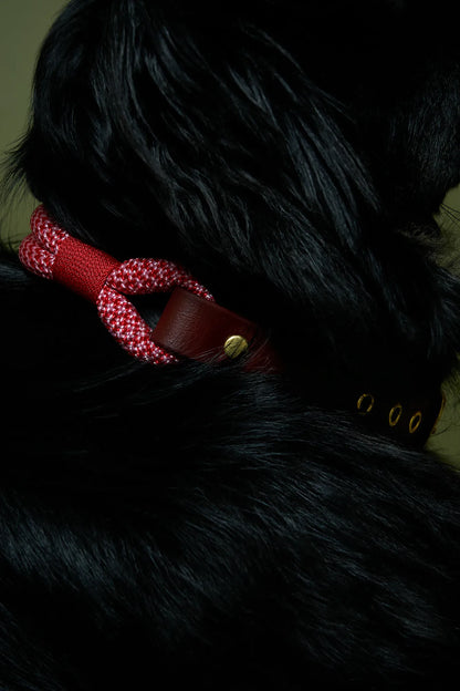 Collier Poppy