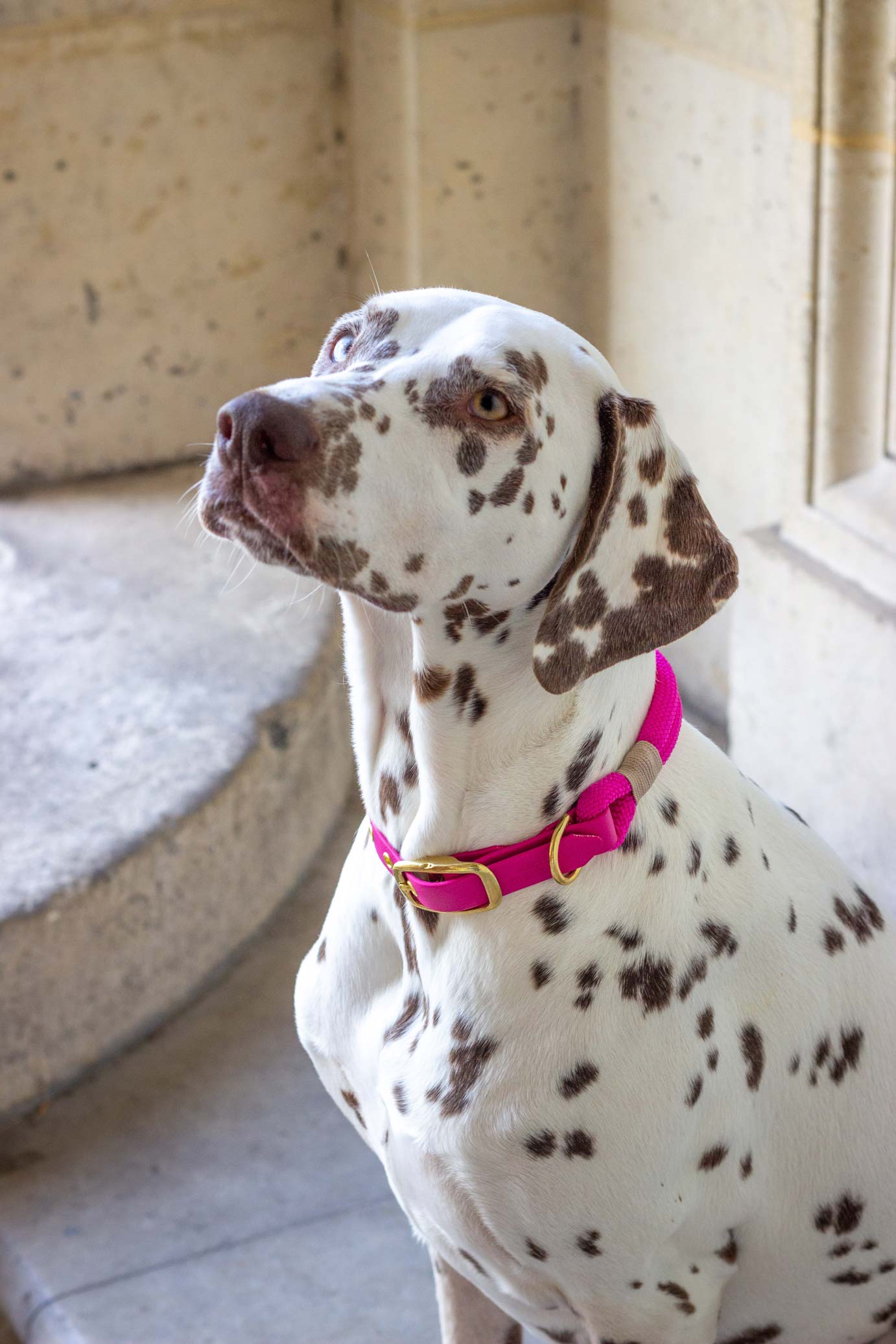 Collier fuchsia