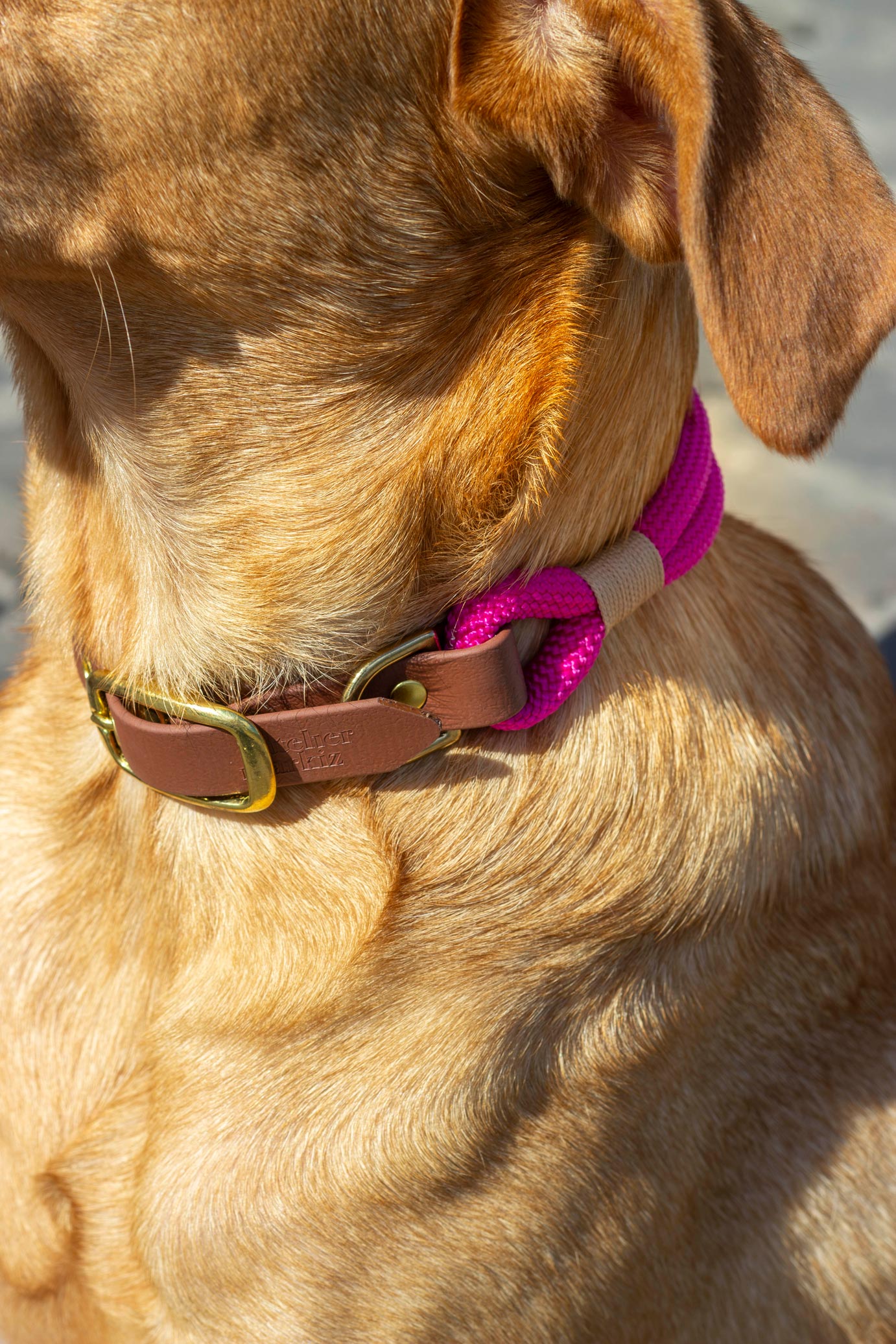 Collier mini chien rose et doré - POLUS BOUTIQUE Collier mini chien rose et doré - POLUS BOUTIQUE