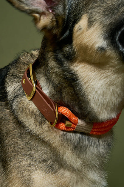 Collier Orange