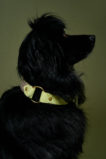 Collier plat Oslo