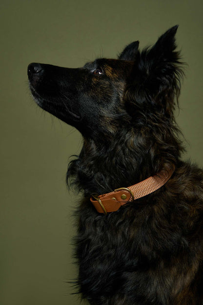 Collier plat Copper