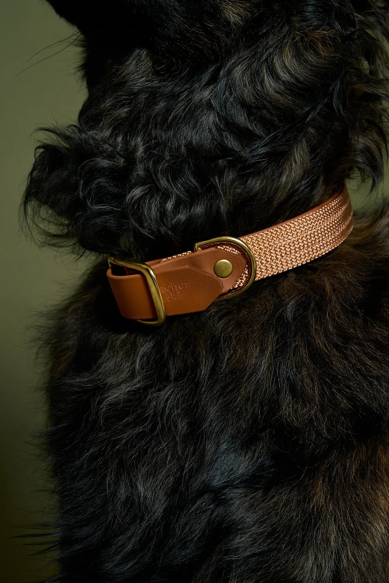 Collier plat Copper