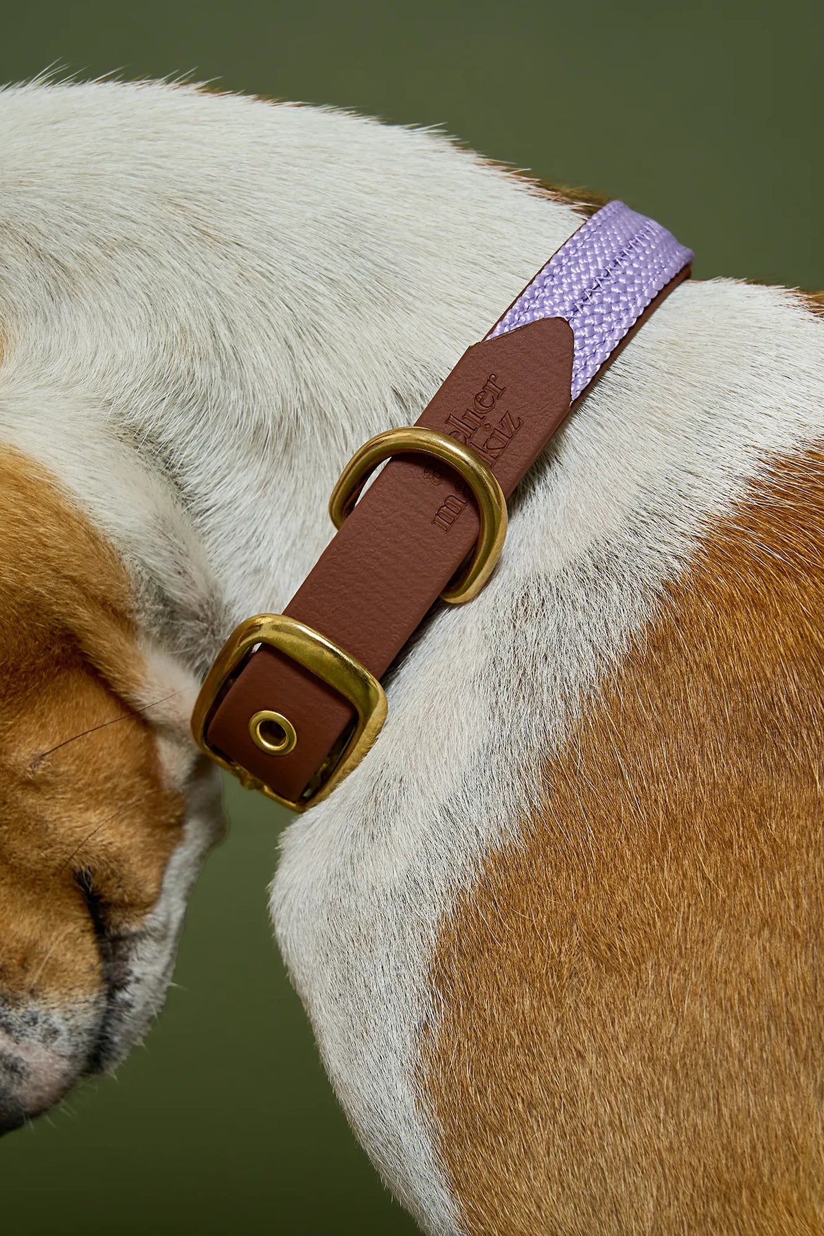 Collier plat Lilas