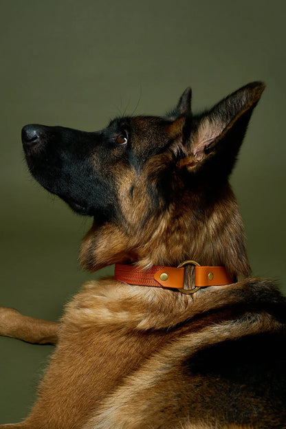 Collier plat Tangerine