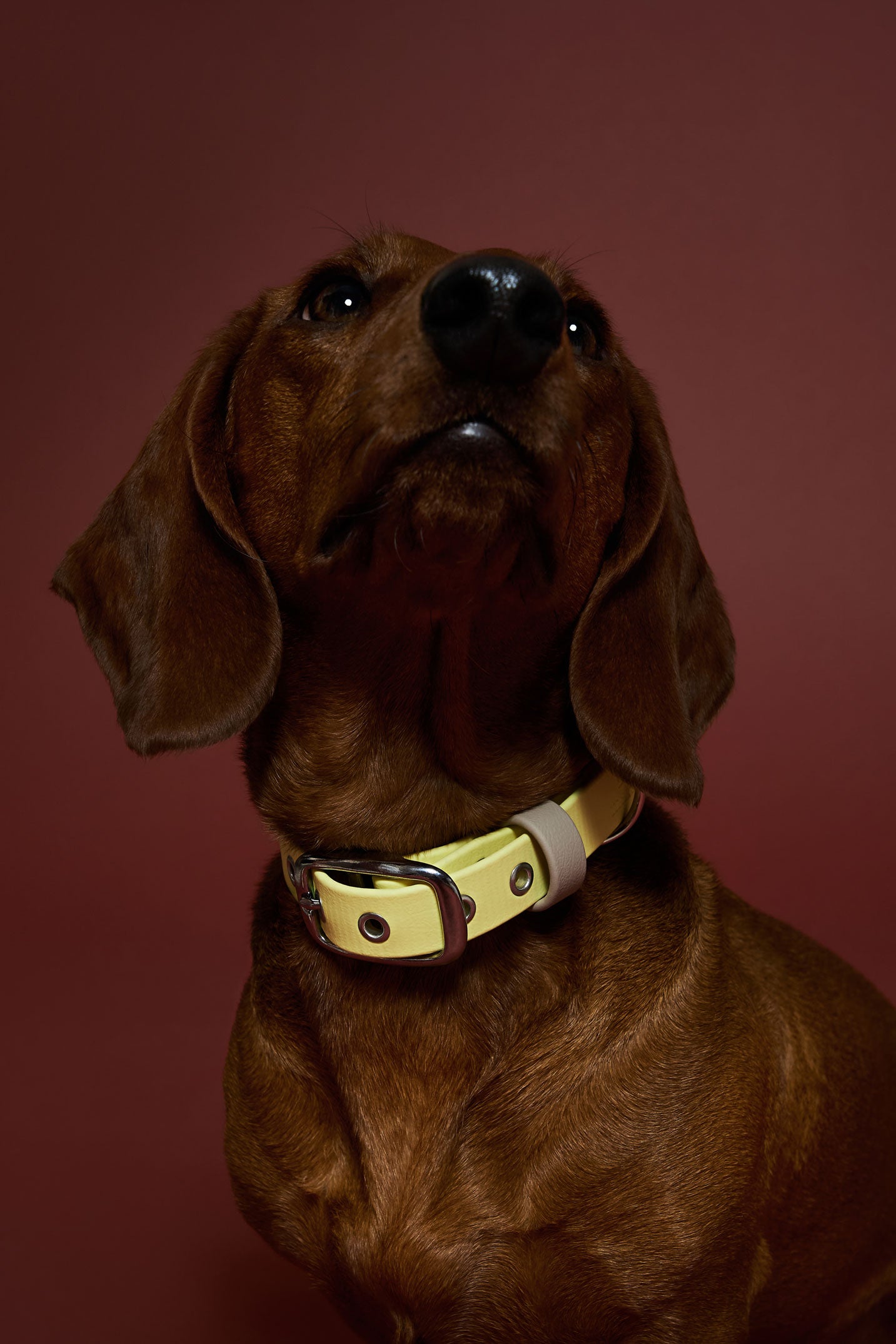 Collier imperméable Jaune Pastel