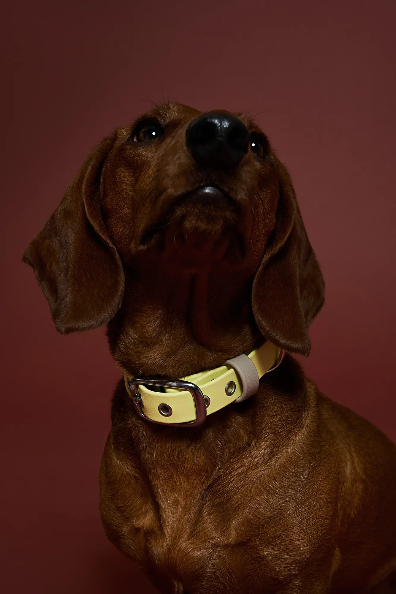 Collier imperméable Jaune Pastel