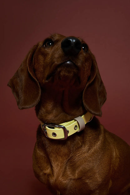 Collier imperméable Jaune Pastel