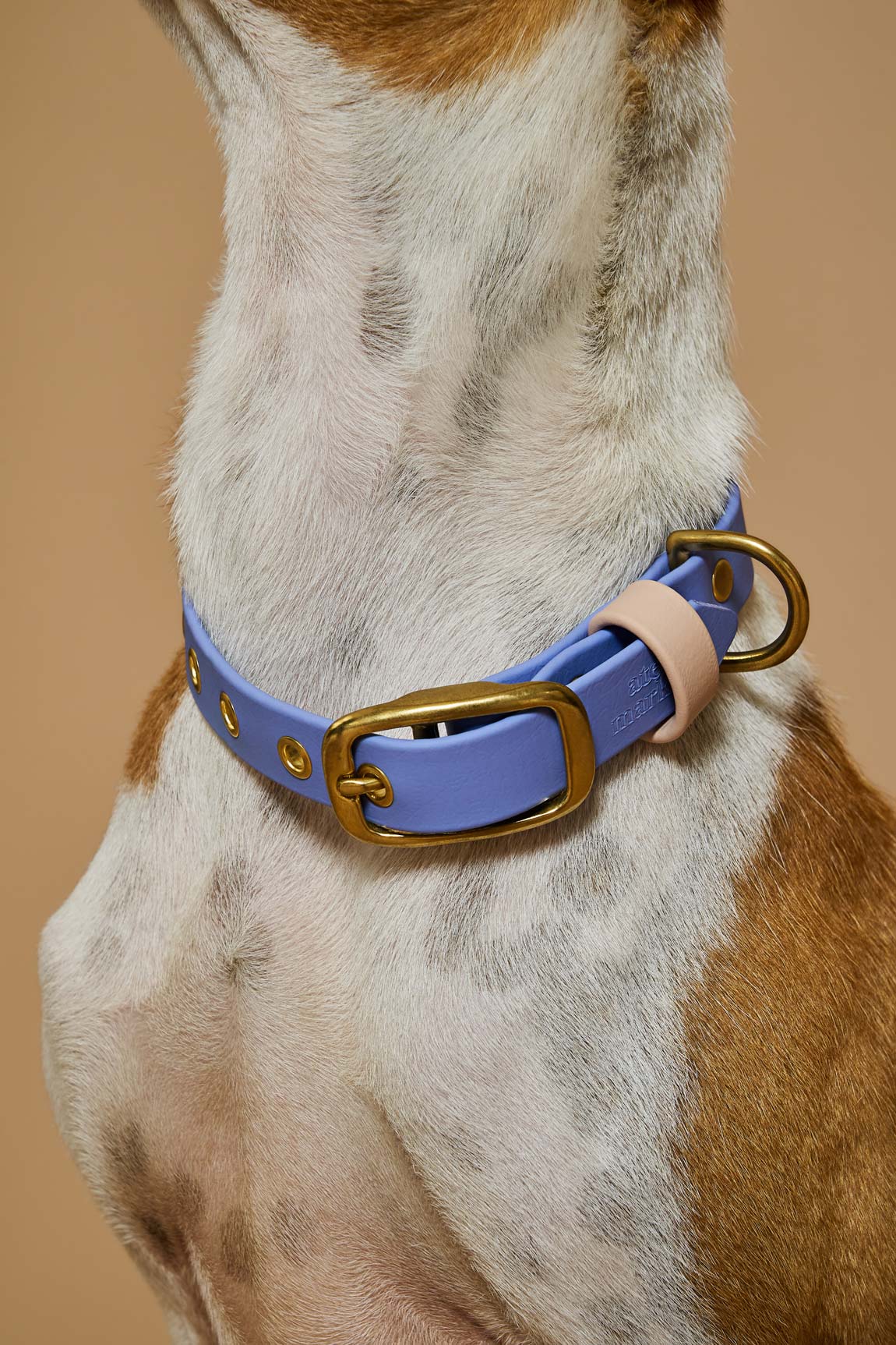 Collier imperméable Lavande