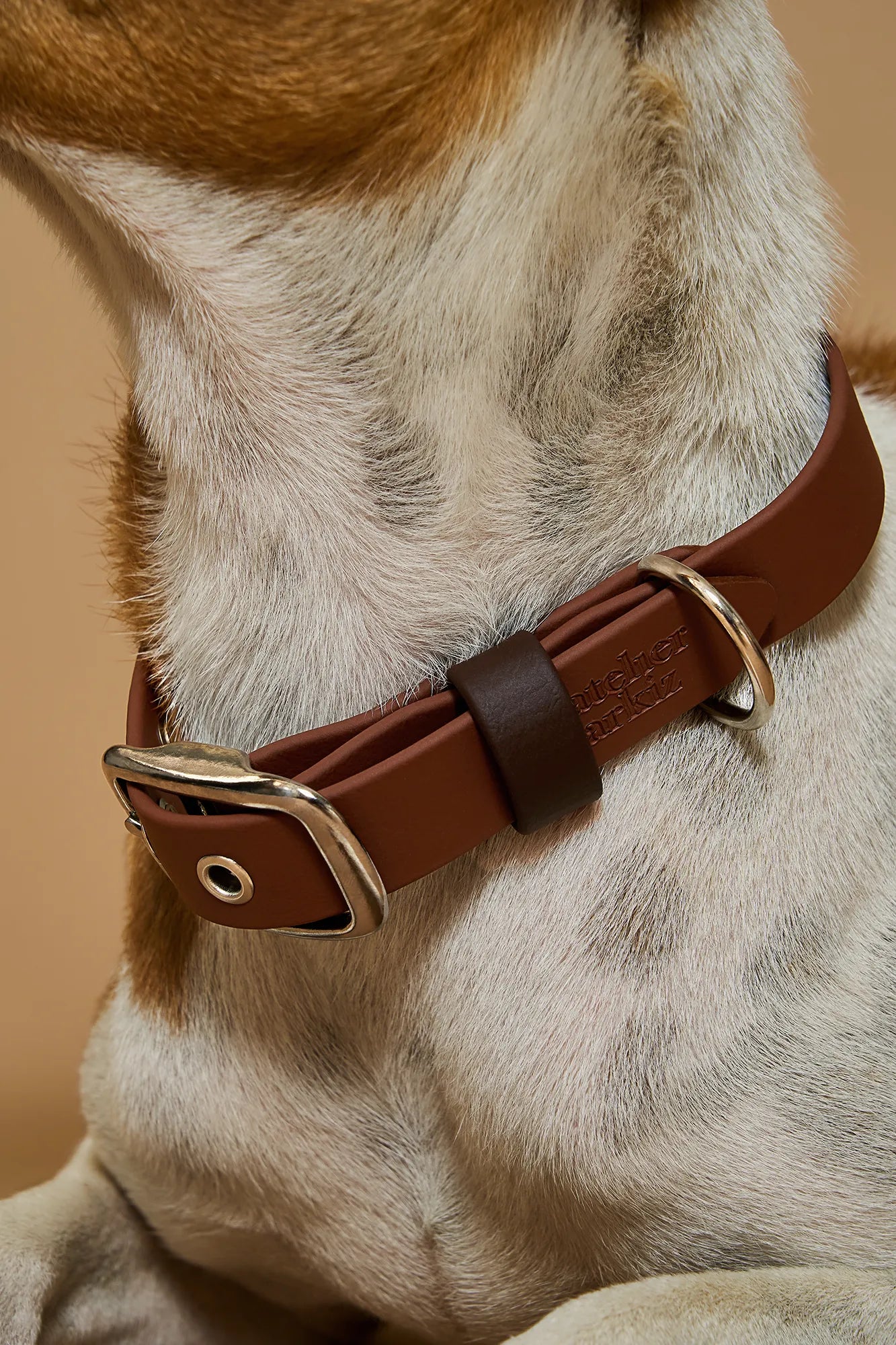Collier imperméable Brownie