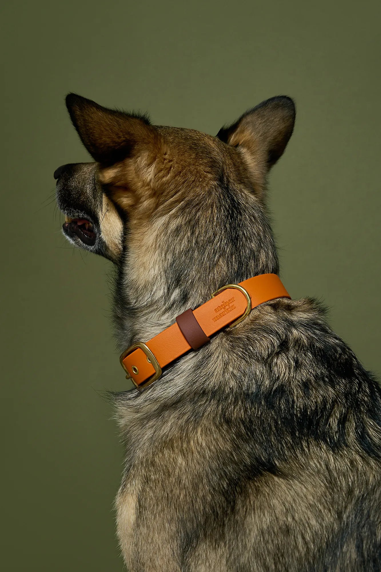 Collier imperméable Tangerine