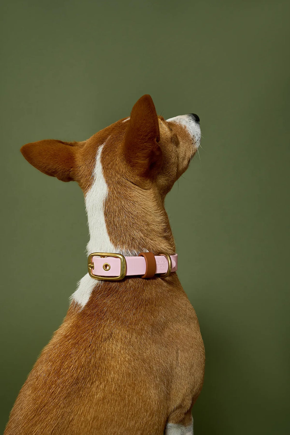 Collier imperméable Blush