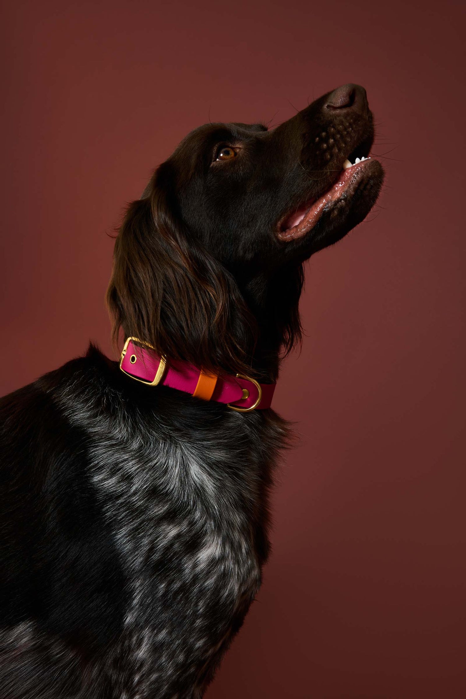 Collier imperméable Fuchsia