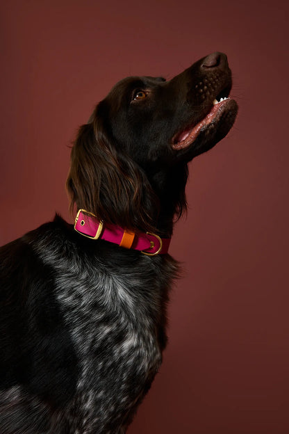 Collier imperméable Fuchsia