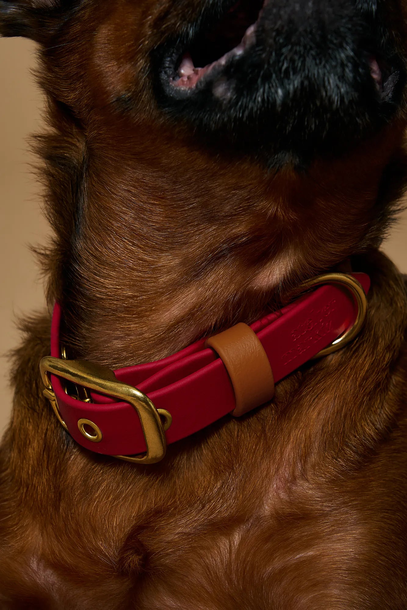 Collier imperméable Cherry
