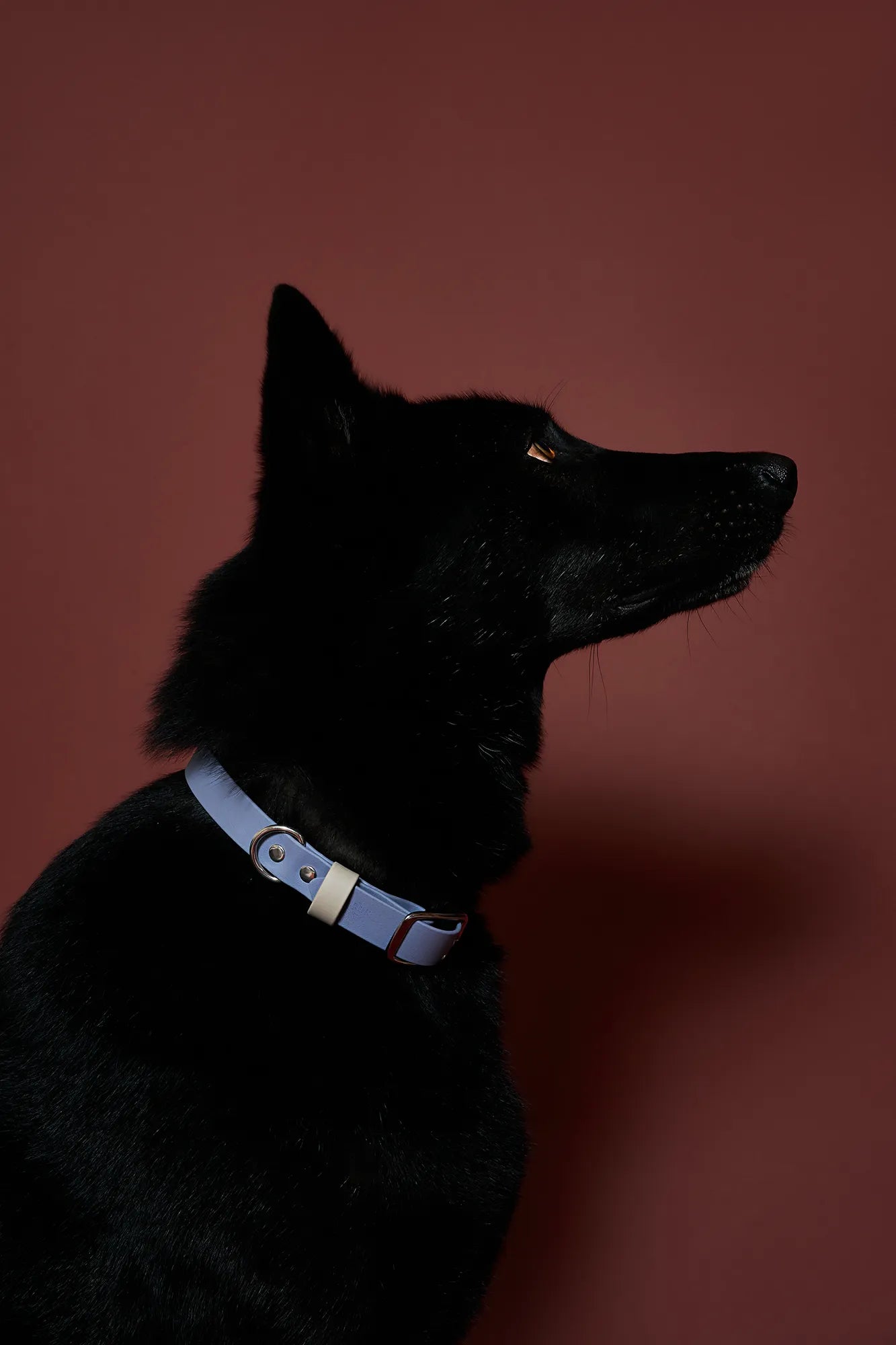 Collier imperméable Grey