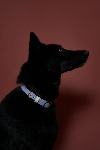 Collier imperméable Grey