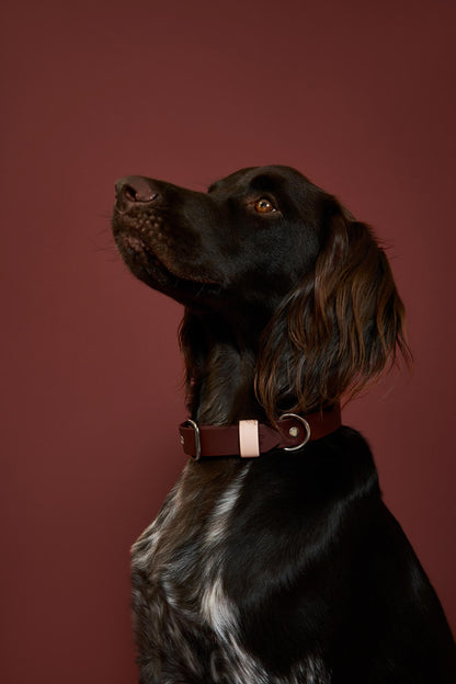 Collier imperméable Saddle
