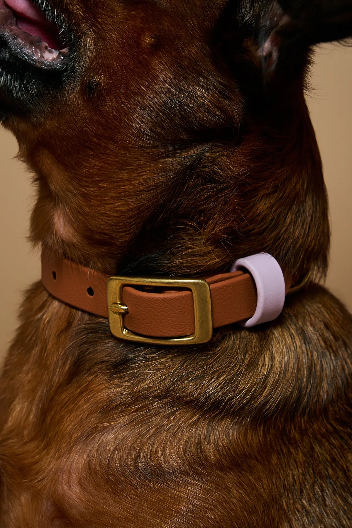 Collier imperméable Camel