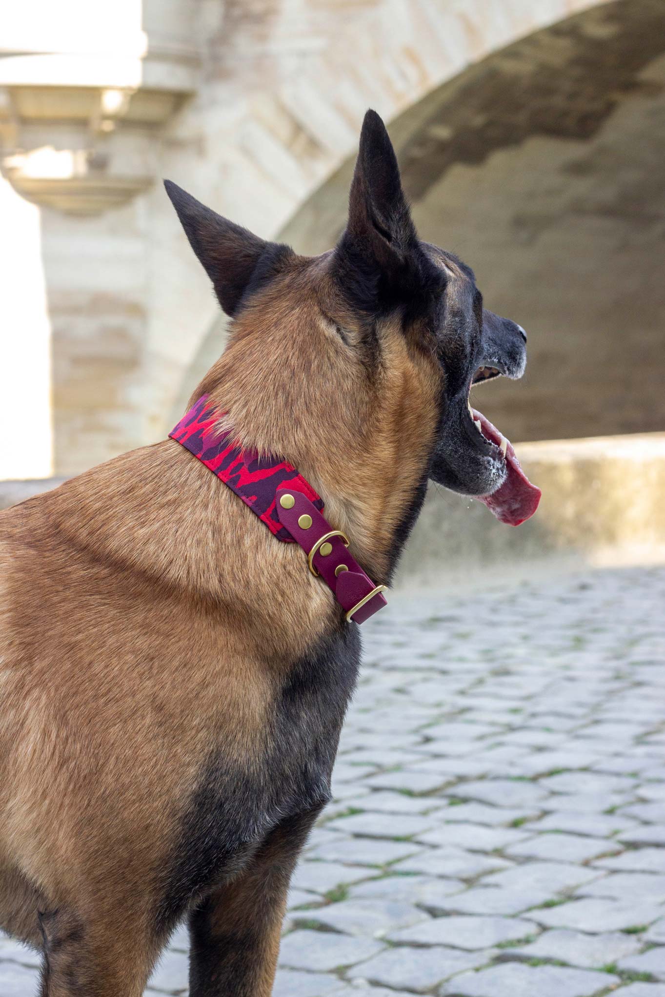 Collier Django