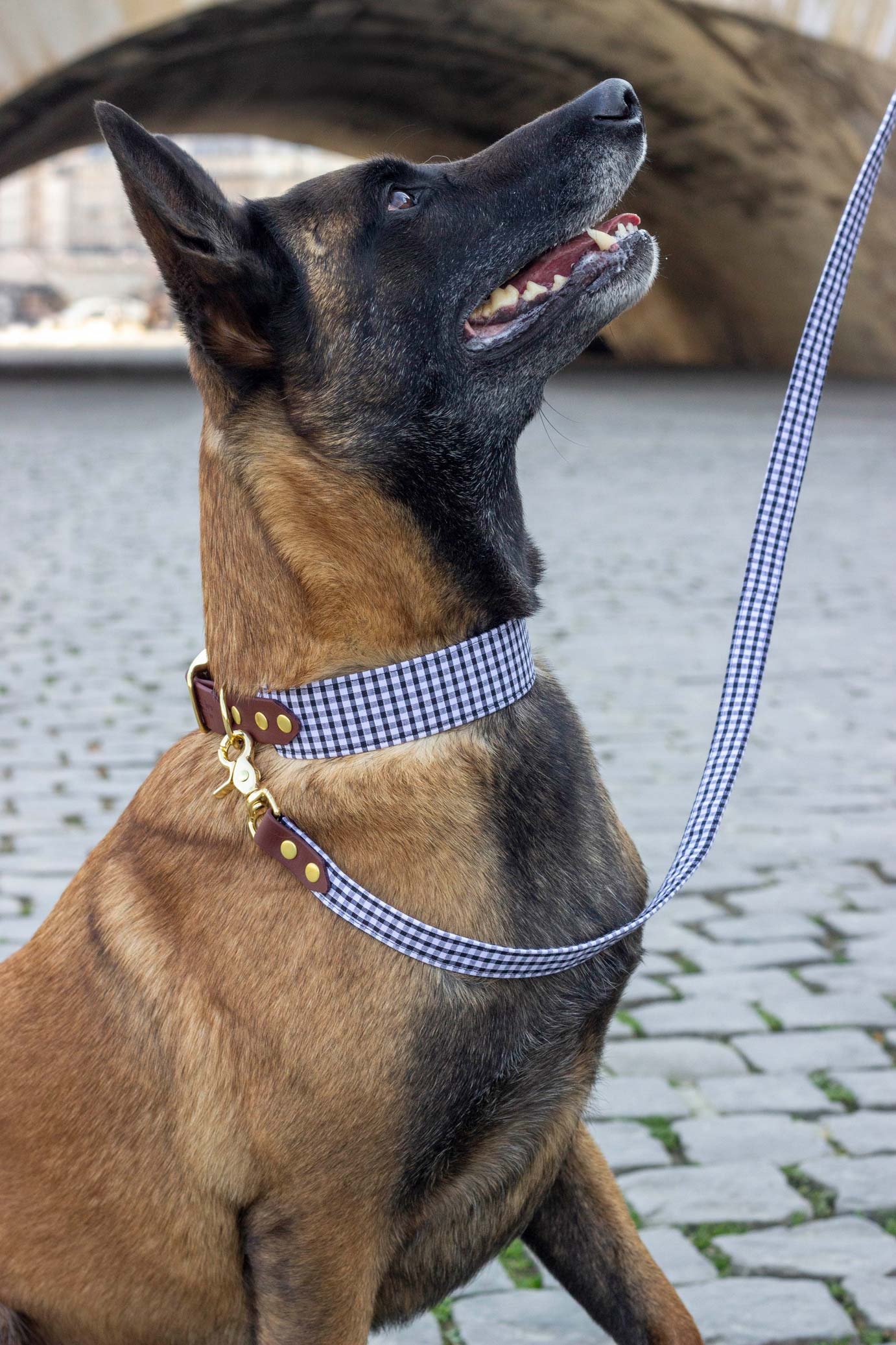 Collier Madrague