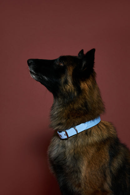 Collier plat Bleu Polaire