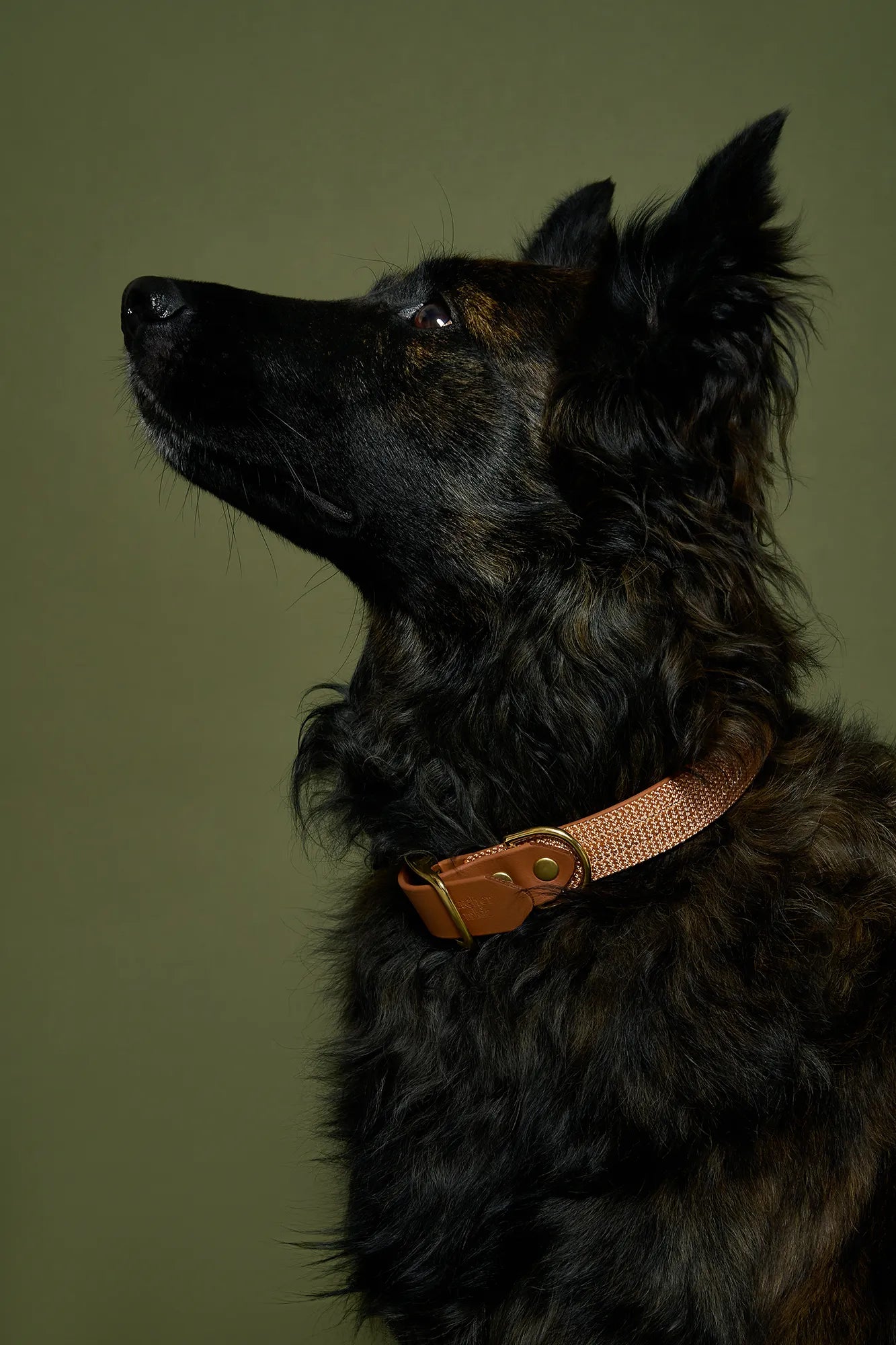 Collier plat Copper