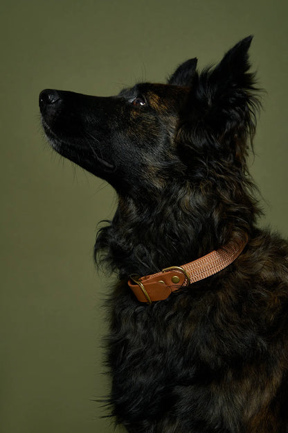 Collier plat Copper