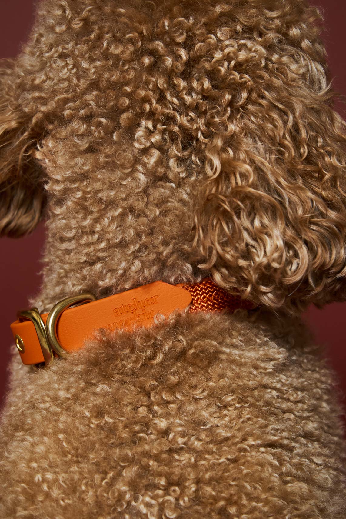 Collier plat Tangerine