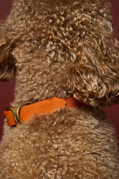 Collier plat Tangerine