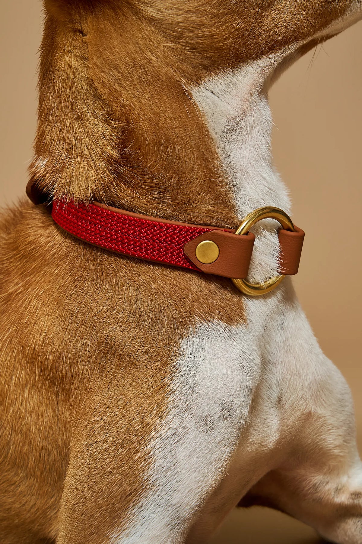 Collier plat Rouge