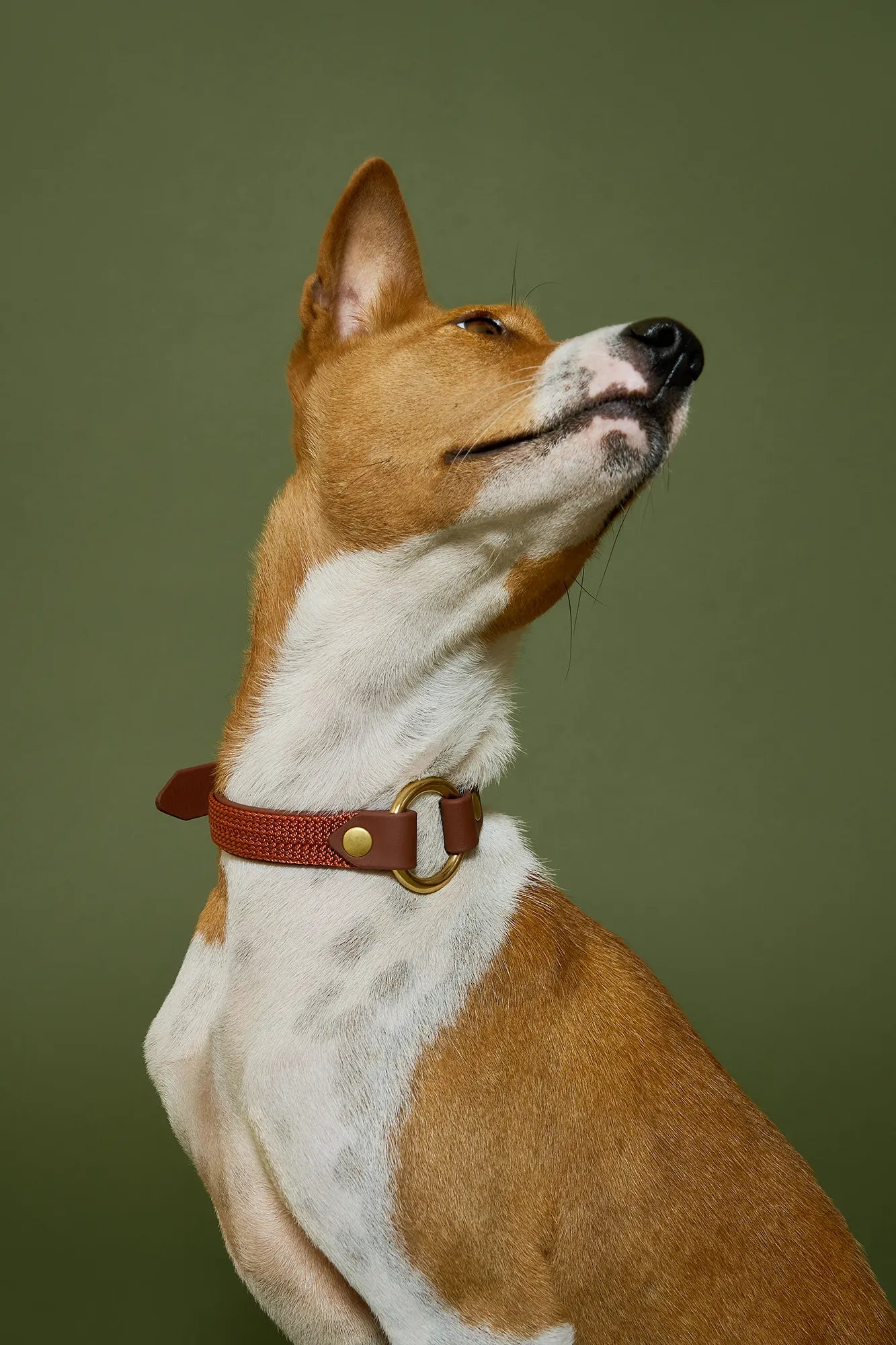 Collier plat Maple