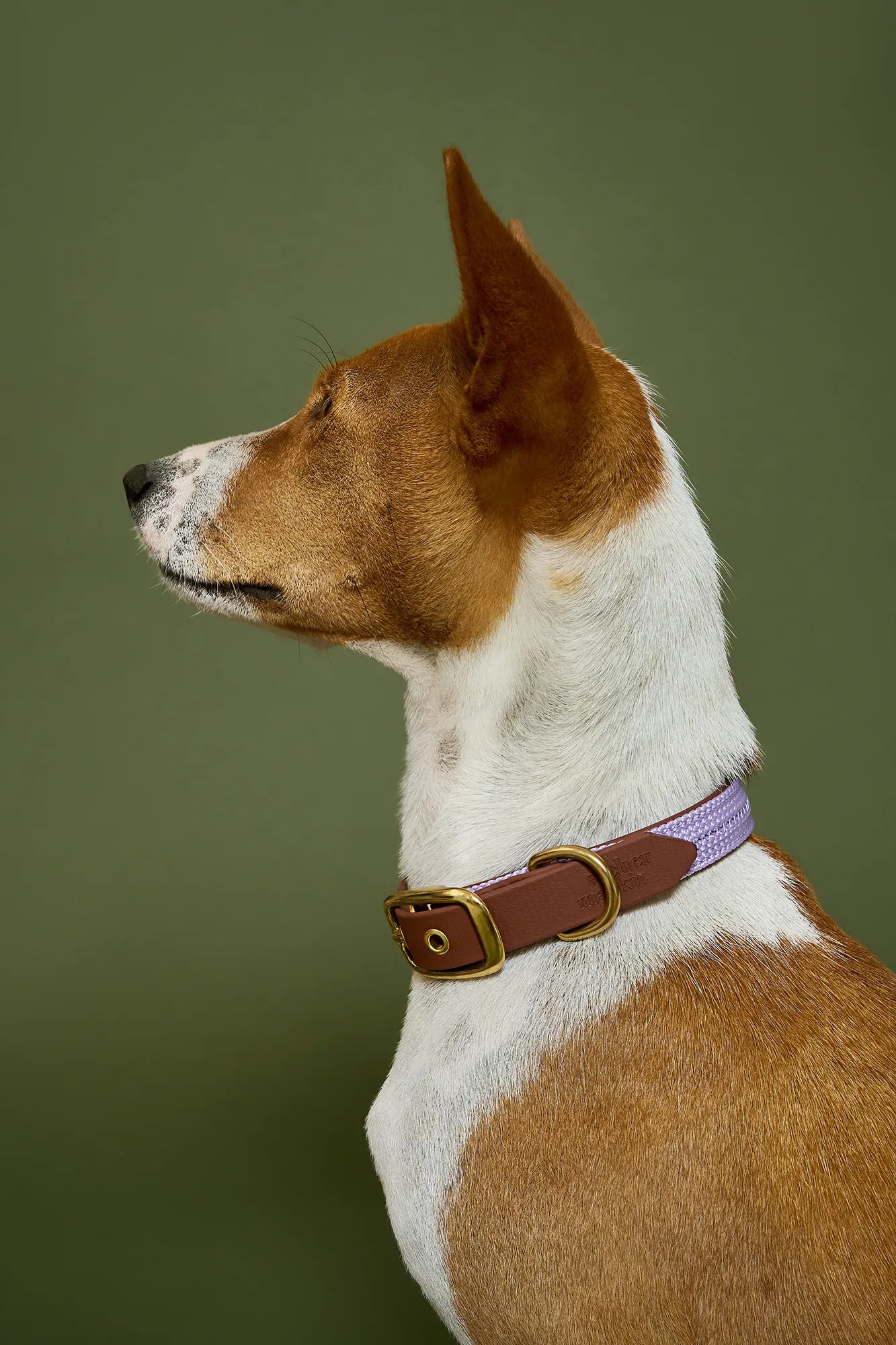 Collier plat Lilas